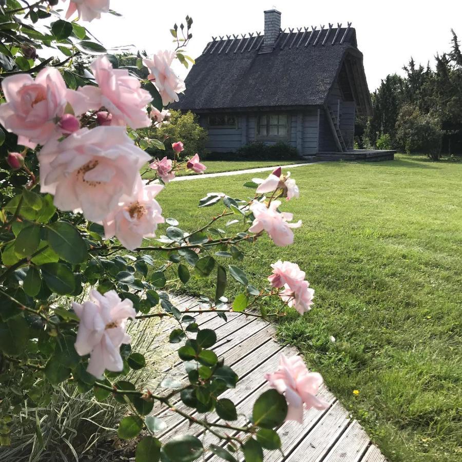 Вілла Romantiline Saunamaja Paedaste Lahe Aeaeres Екстер'єр фото